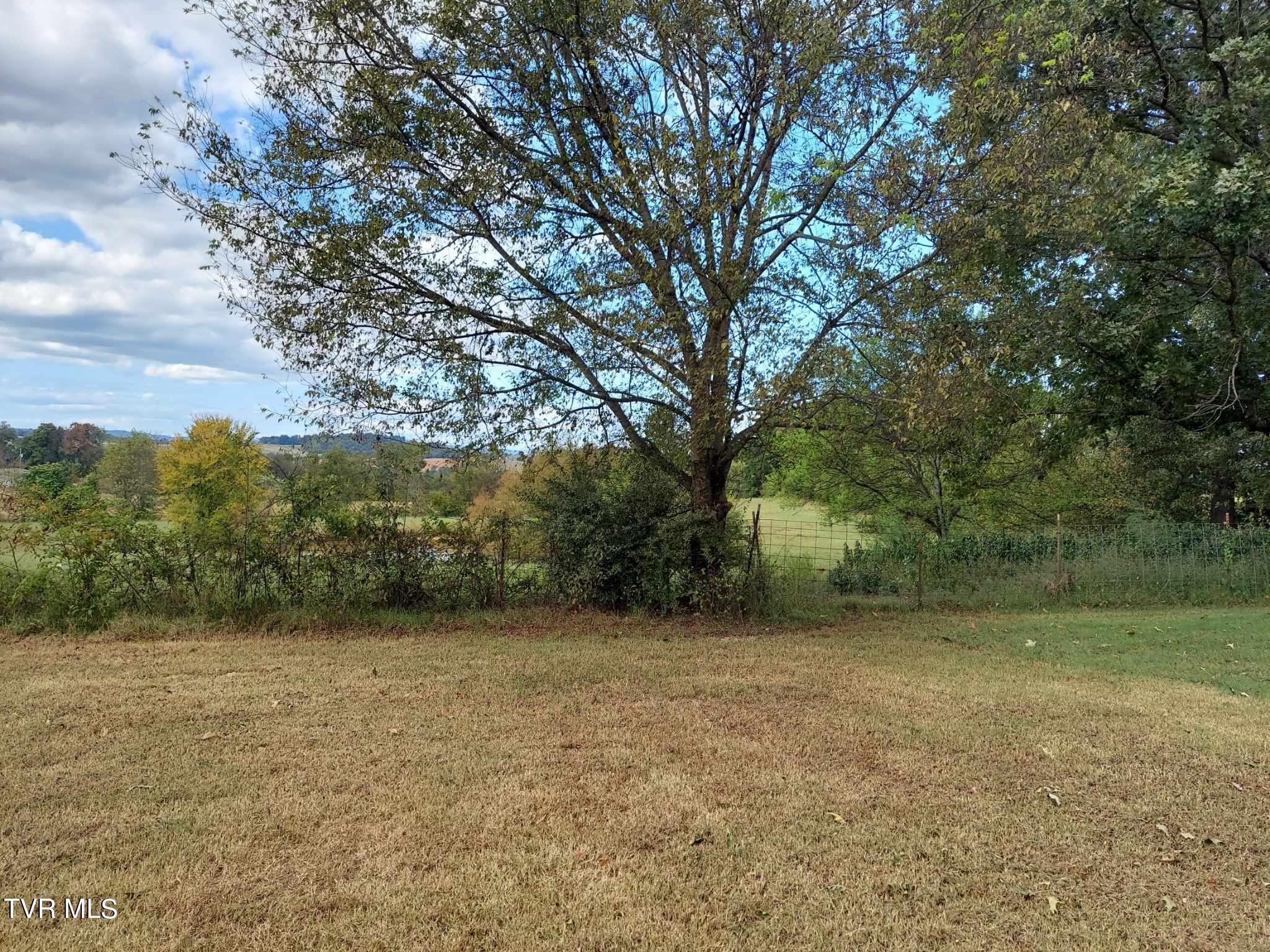 994 Lowery Loop Road New Market, TN 37820 - Photo 10 of 30 14