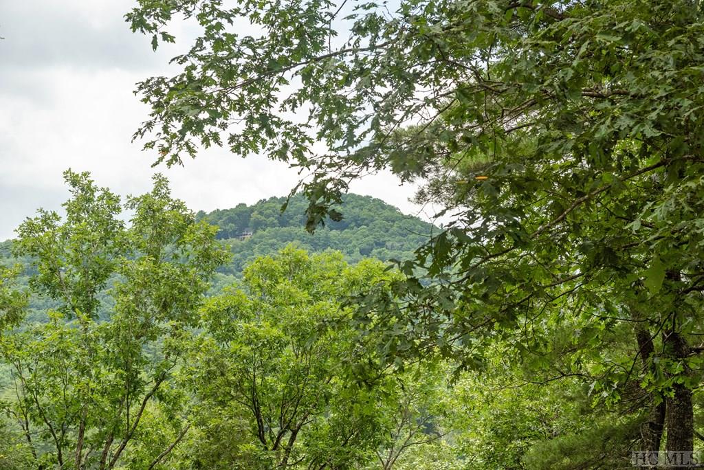 285 Gristmill Ridge Highlands, NC 28741 - Photo 2 of 59 Gallery Image 2