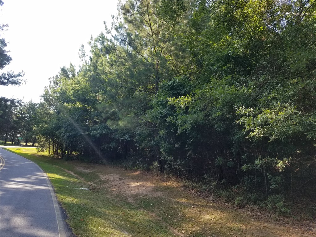 Lot 21 Plantation Road Townville, SC 29689 - Photo 1 of 16 Gallery Image 1