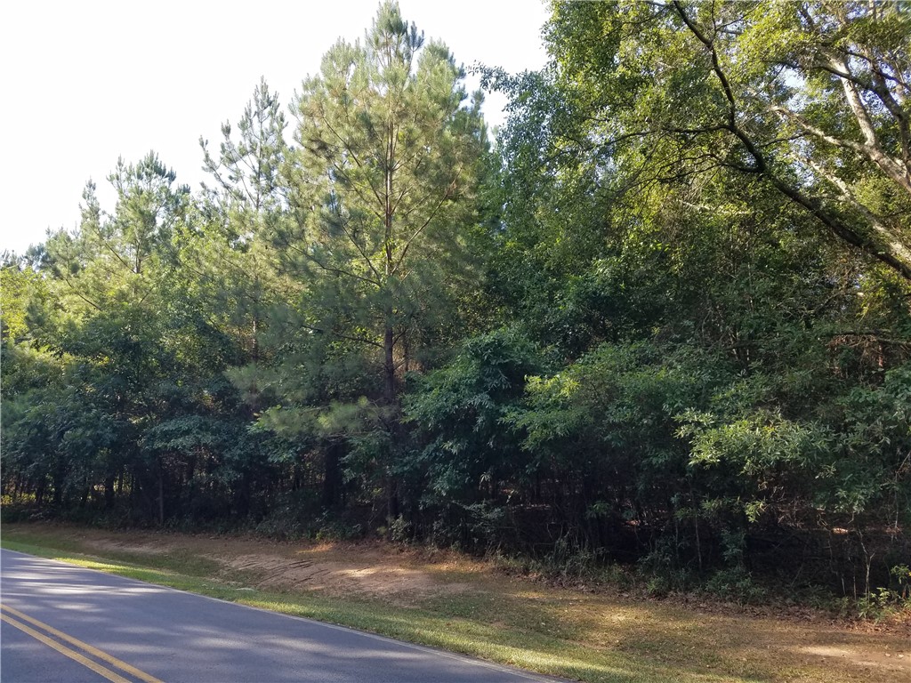 Lot 21 Plantation Road Townville, SC 29689 - Photo 2 of 16 Gallery Image 2