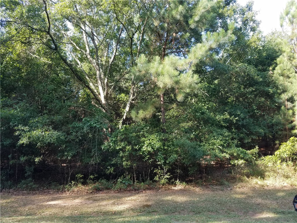 Lot 21 Plantation Road Townville, SC 29689 - Photo 3 of 16 Gallery Image 3