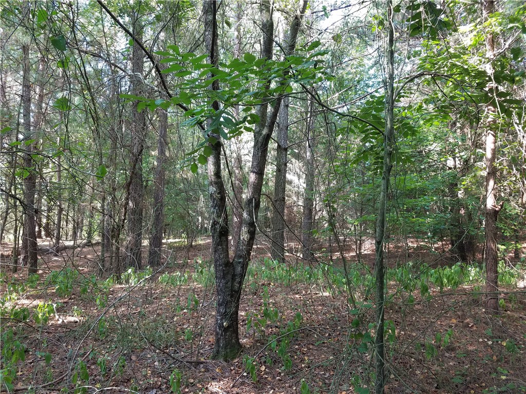 Lot 21 Plantation Road Townville, SC 29689 - Photo 6 of 16 Gallery Image 6