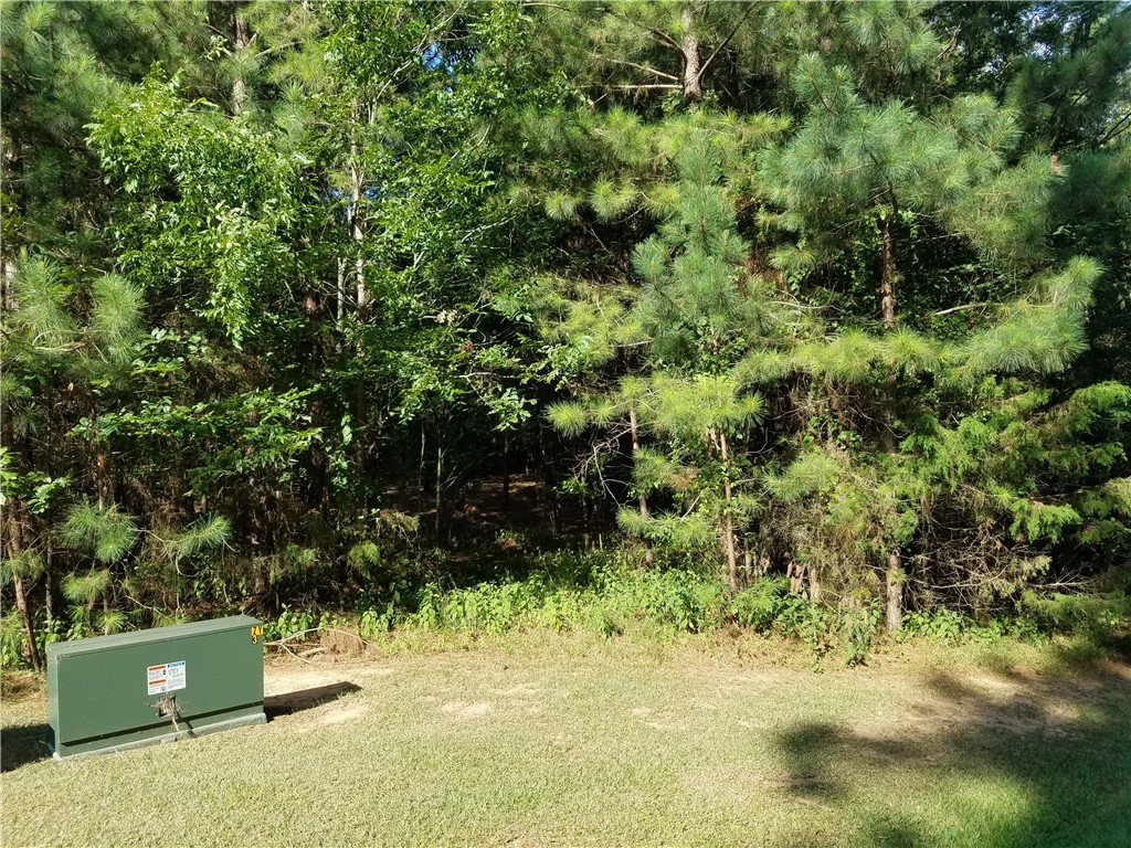 Lot 21 Plantation Road Townville, SC 29689 - Photo 7 of 16 Gallery Image 7