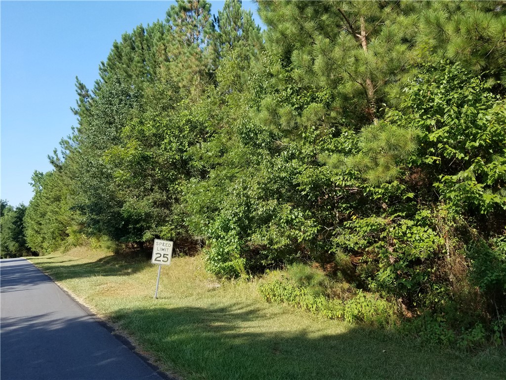 Lot 21 Plantation Road Townville, SC 29689 - Photo 8 of 16 Gallery Image 8