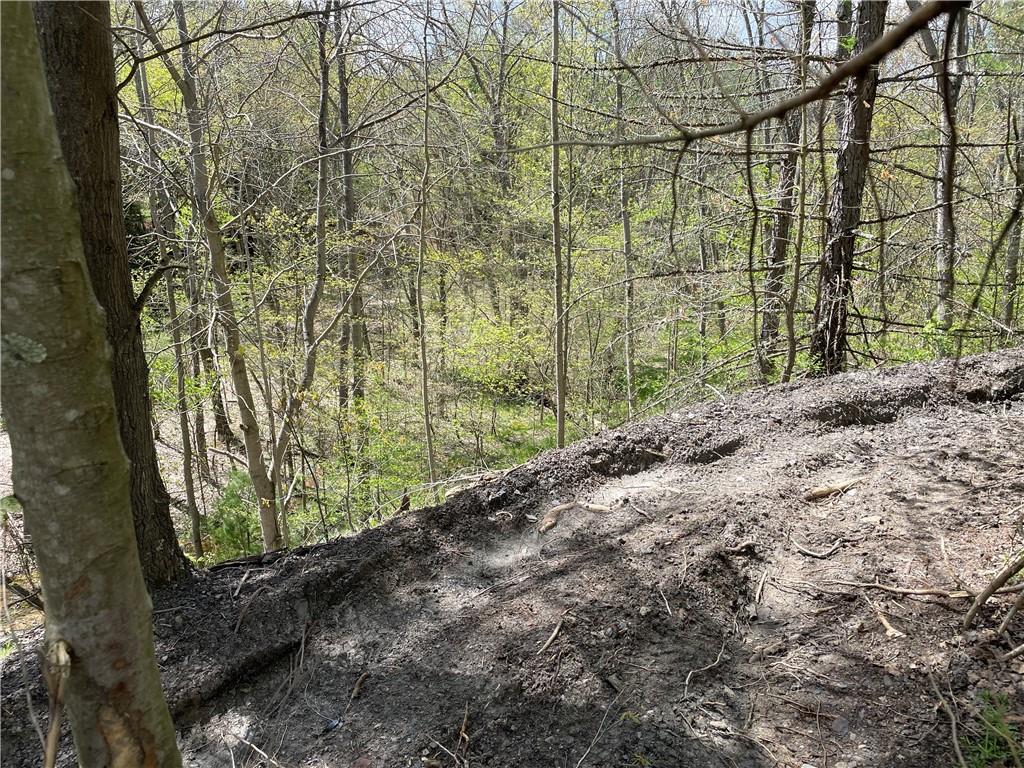 0 Middle Run Road Fairmount City, PA 16224 - Photo 15 of 21 Gallery Image 15