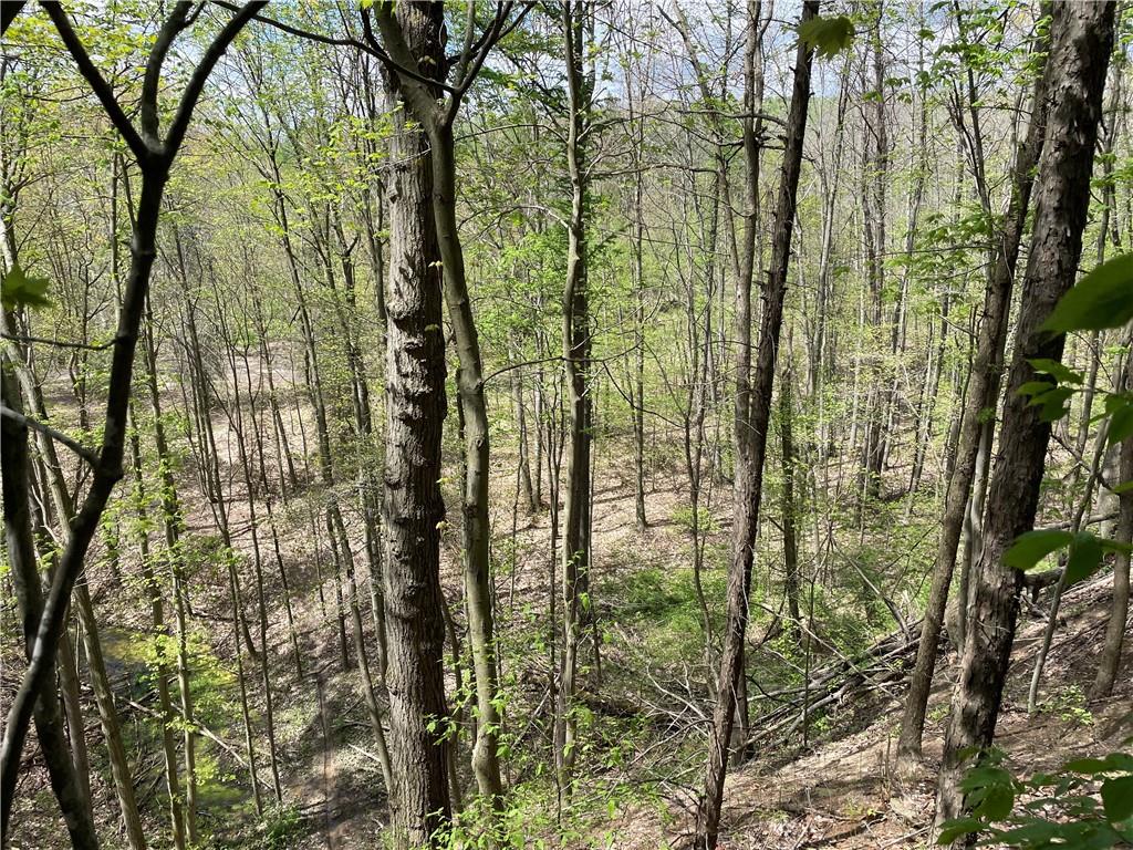 0 Middle Run Road Fairmount City, PA 16224 - Photo 17 of 21 Gallery Image 17
