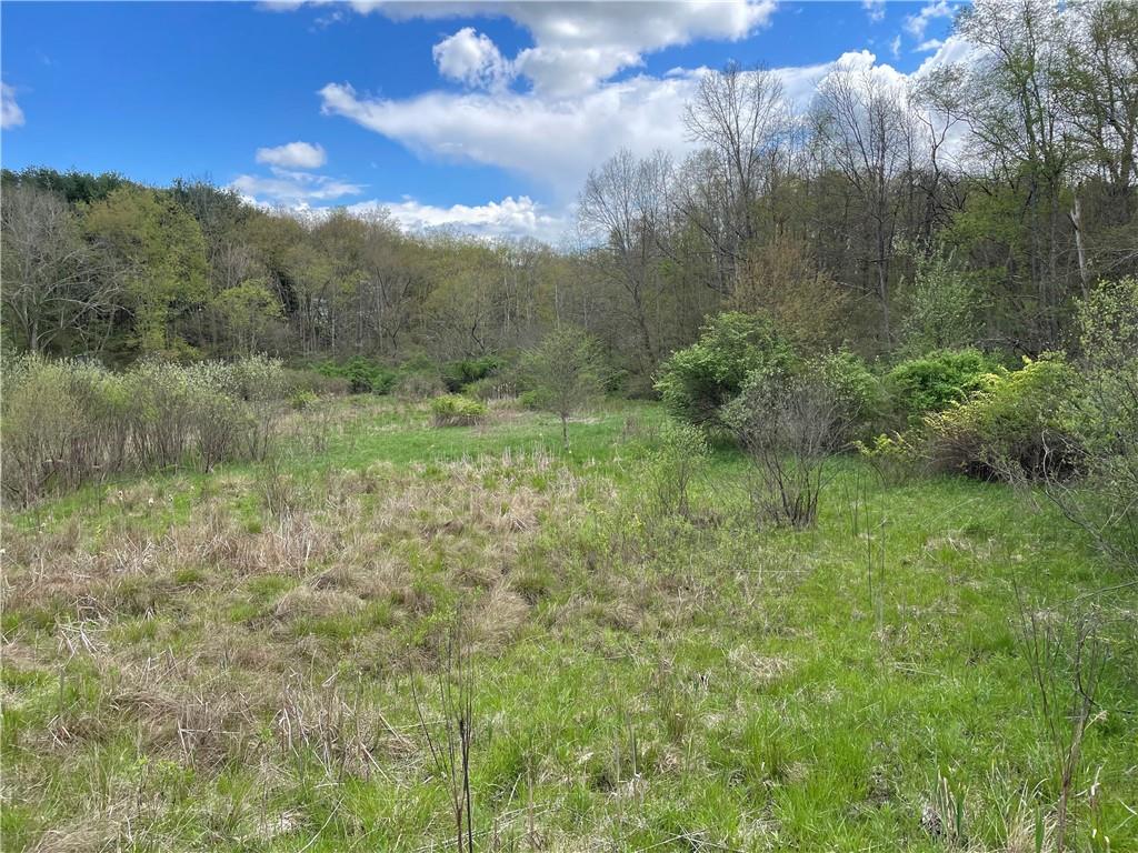 0 Middle Run Road Fairmount City, PA 16224 - Photo 21 of 21 Gallery Image 21