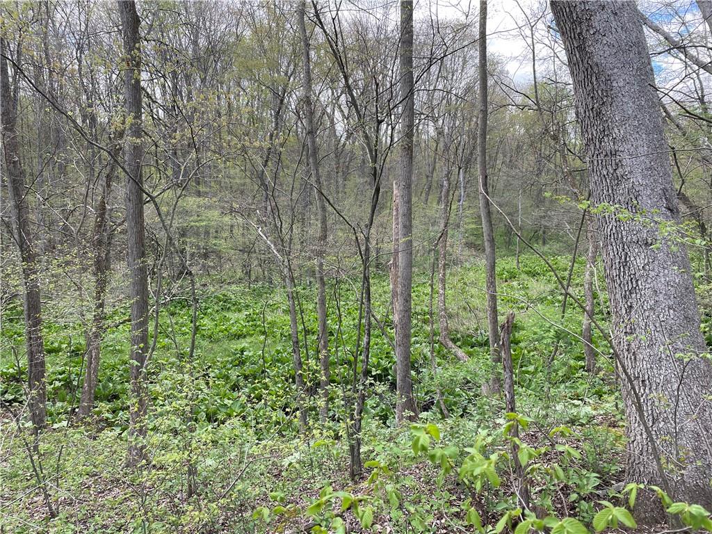 0 Middle Run Road Fairmount City, PA 16224 - Photo 3 of 21 Gallery Image 3