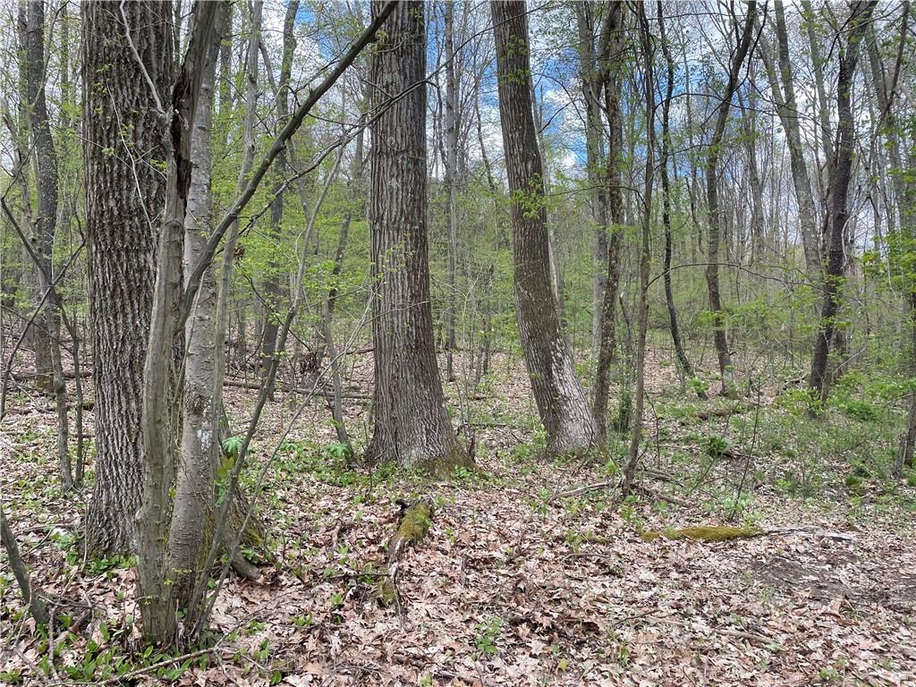 0 Middle Run Road Fairmount City, PA 16224 - Photo 5 of 21 Gallery Image 5