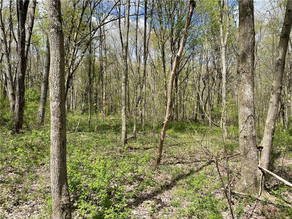 0 Middle Run Road Fairmount City, PA 16224 - Photo 8 of 21 Gallery Image 8