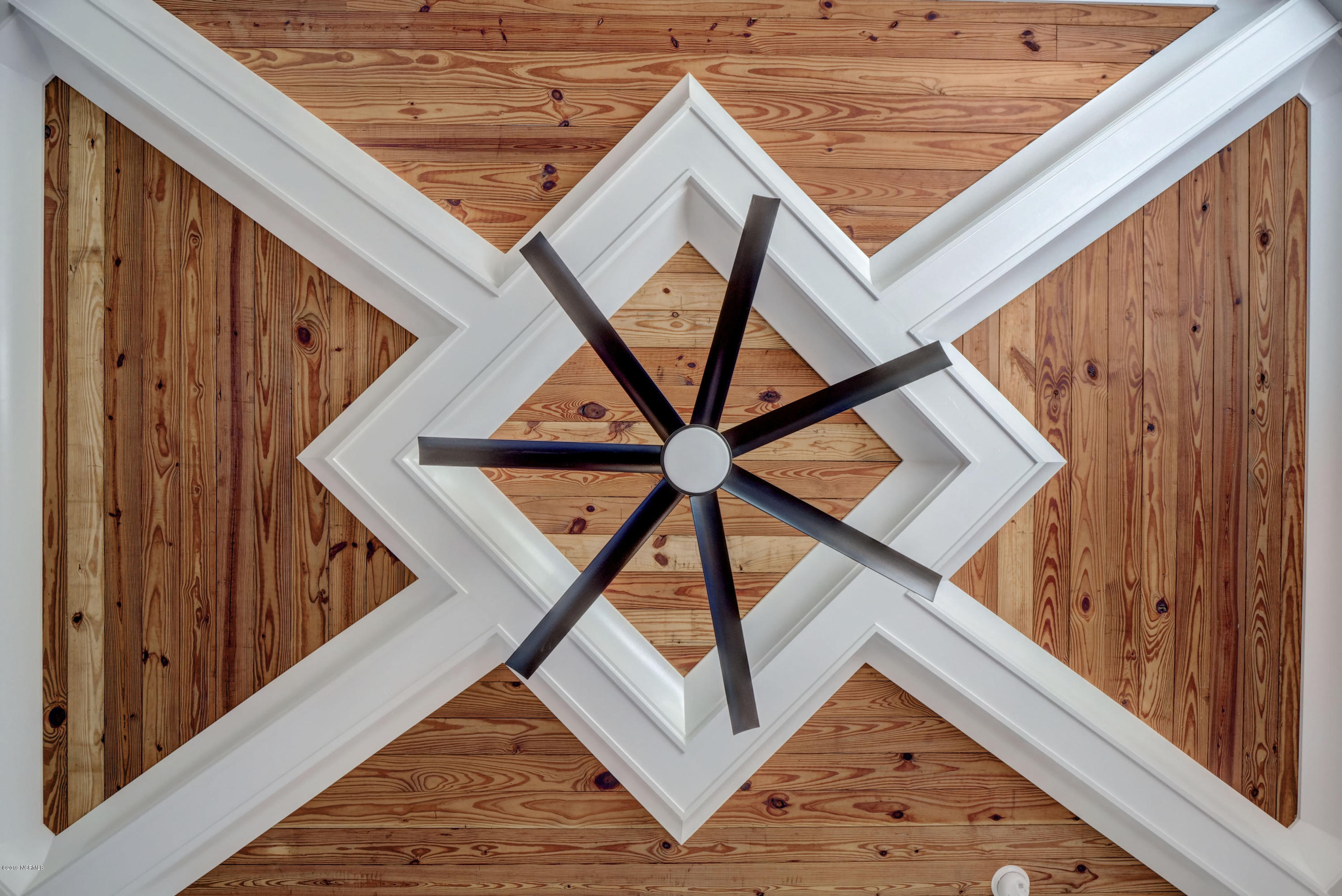 504 White Picket Way Holly Ridge, NC 28445 - Photo 19 of 54 Master Ceiling Detail