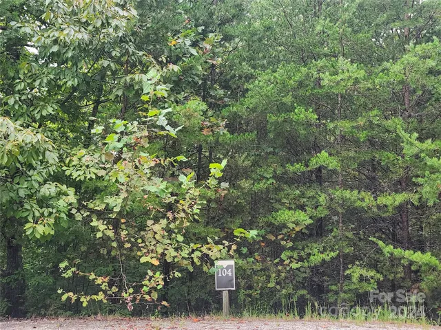 $29,900 | Lot 104 Boysenberry Drive, Nebo, NC 28761