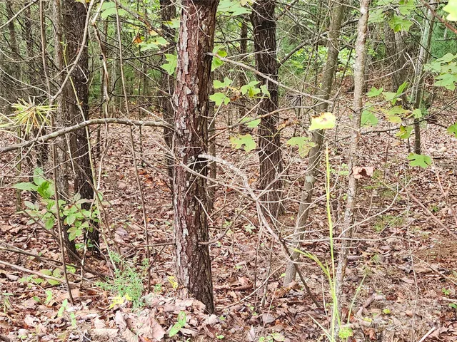 $29,900 | Lot 104 Boysenberry Drive, Nebo, NC 28761