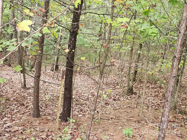 $29,900 | Lot 104 Boysenberry Drive, Nebo, NC 28761