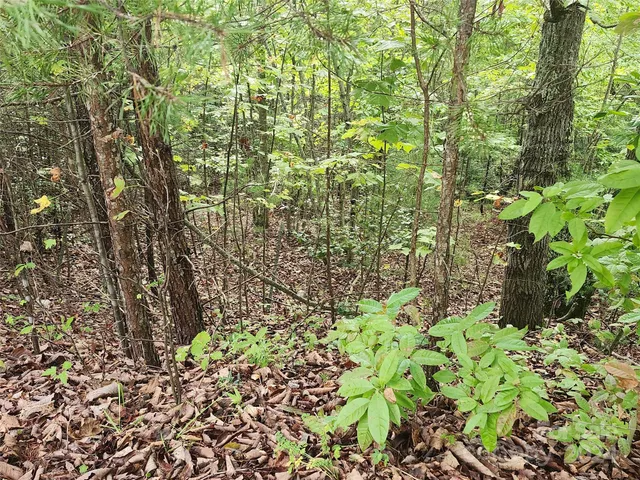 $29,900 | Lot 104 Boysenberry Drive, Nebo, NC 28761
