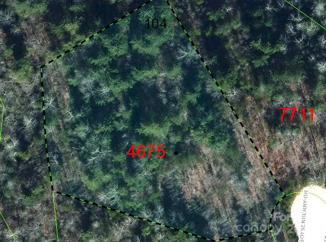 $29,900 | Lot 104 Boysenberry Drive, Nebo, NC 28761