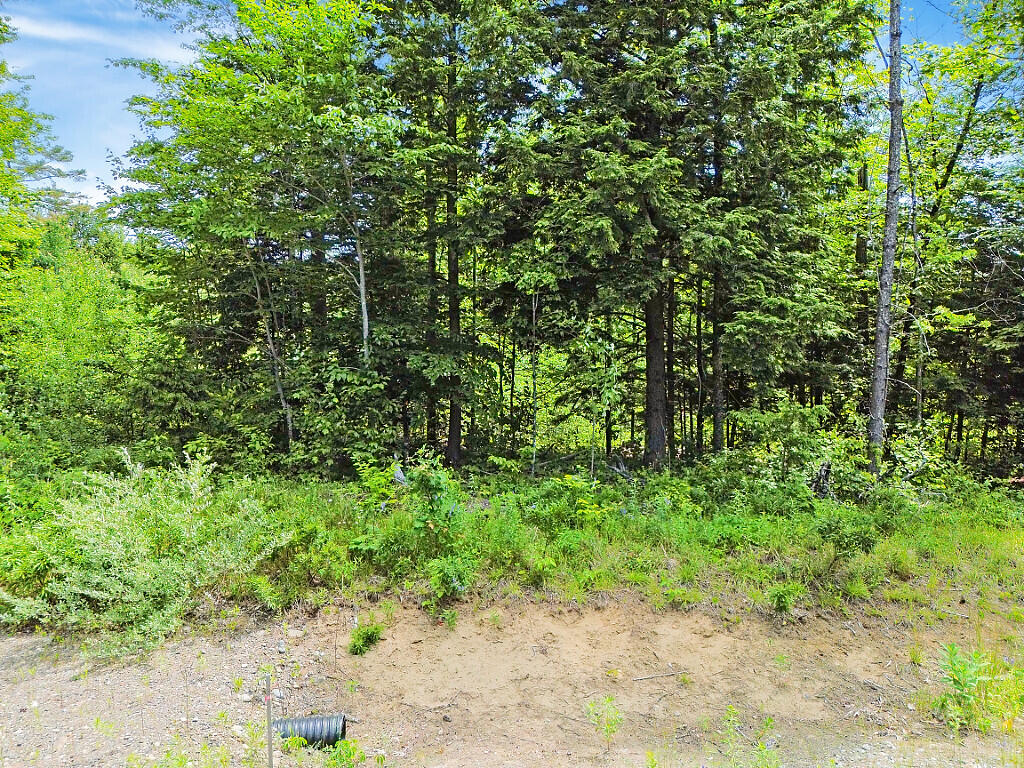 Lot 4 Peachtree Lane Winslow, ME 04901 - Photo 11 of 16 09_DJI_0185_DxO_mls