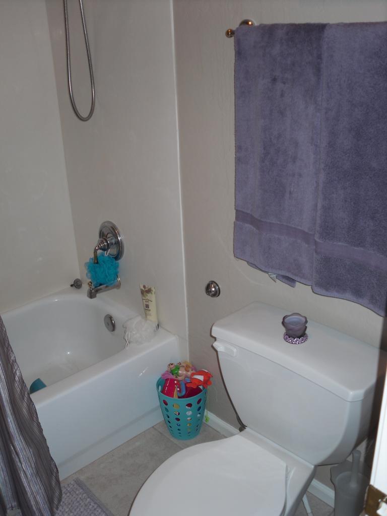 5212 East Hashknife Road Phoenix, AZ 85054 - Photo 12 of 20 Jack and Jill toilet/shower