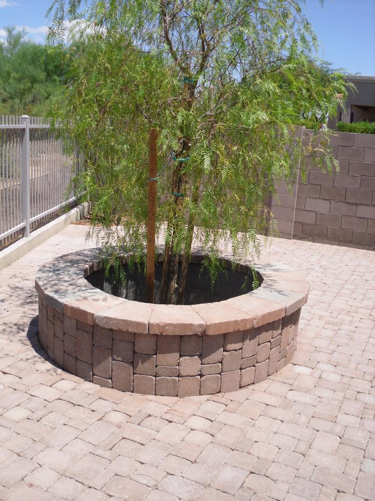 5212 East Hashknife Road Phoenix, AZ 85054 - Photo 19 of 20 Back Sitting Area