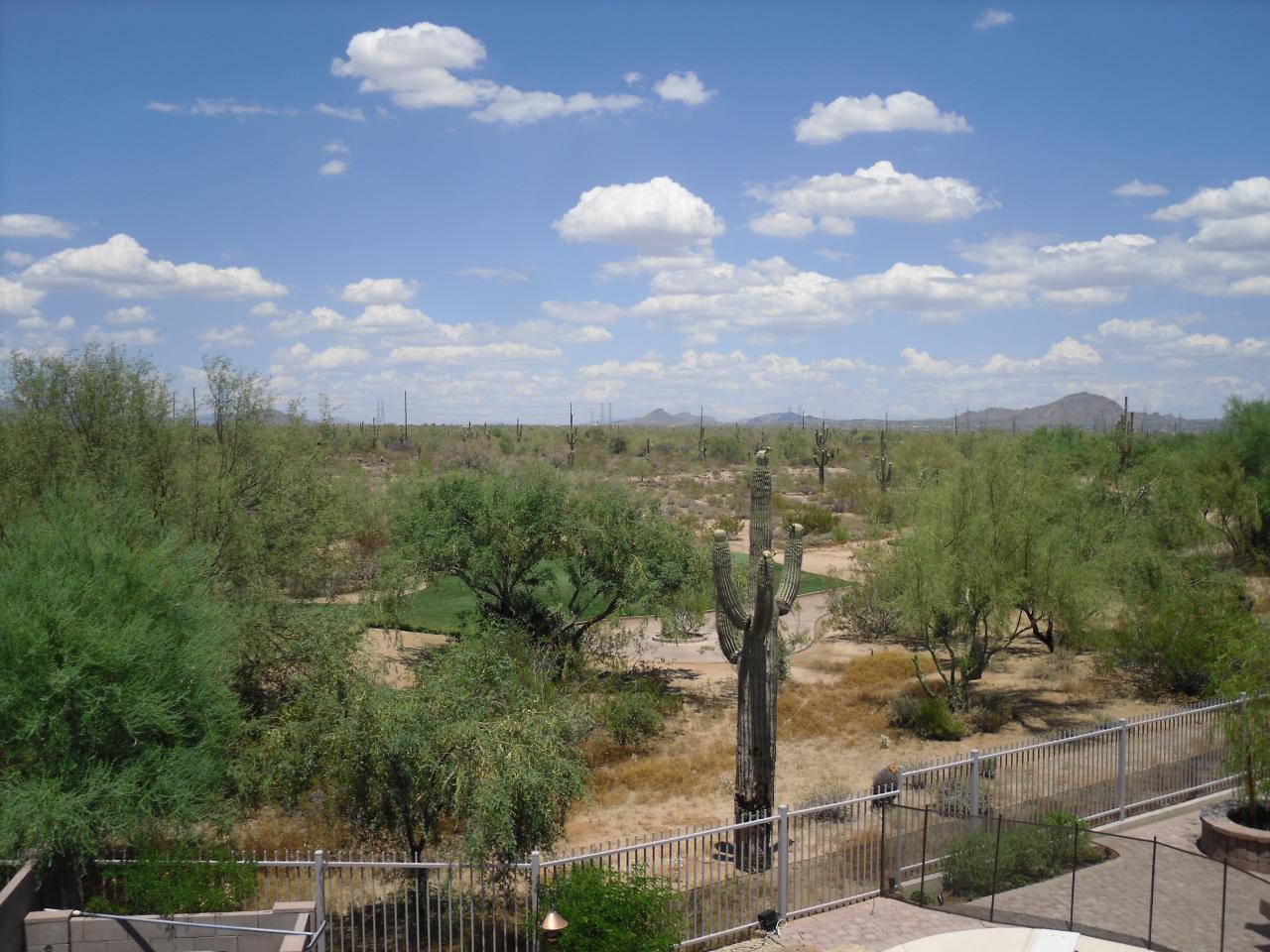 5212 East Hashknife Road Phoenix, AZ 85054 - Photo 8 of 20 Master Patio View