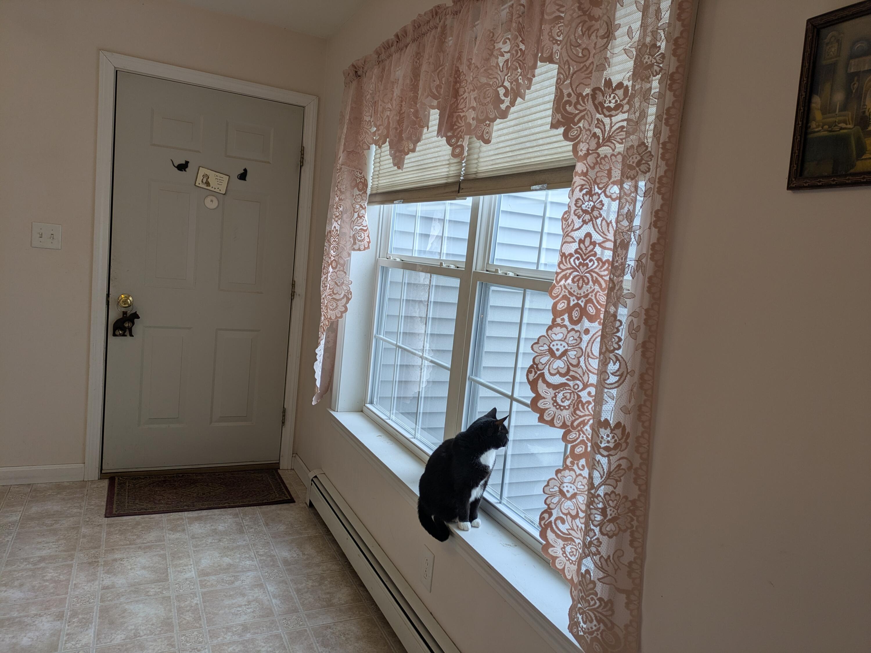 1 Nishell Drive Paris, ME 04281 - Photo 29 of 56 PXL_20260220_160220705