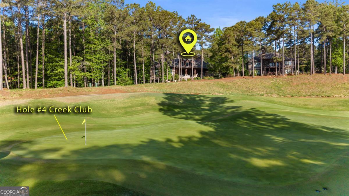 1090 Spring Creek Greensboro, GA 30642 - Photo 14 of 75