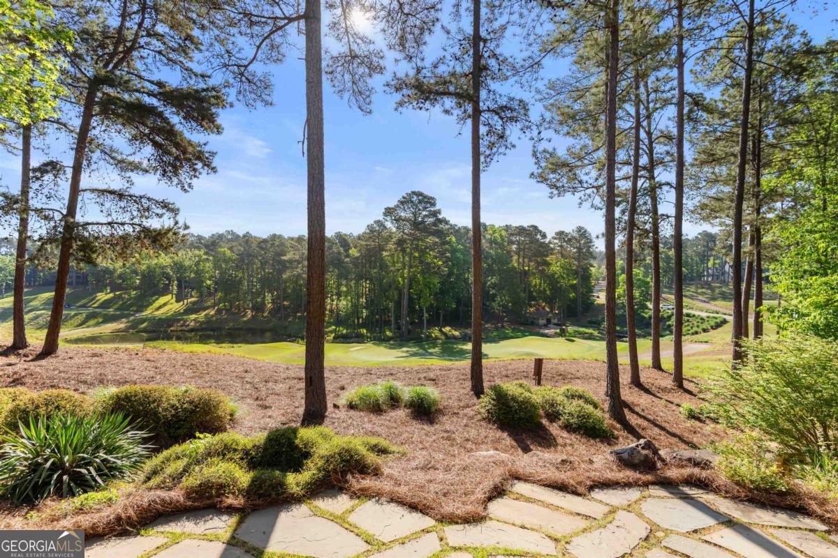 1090 Spring Creek Greensboro, GA 30642 - Photo 36 of 75 a view of a park with a tree