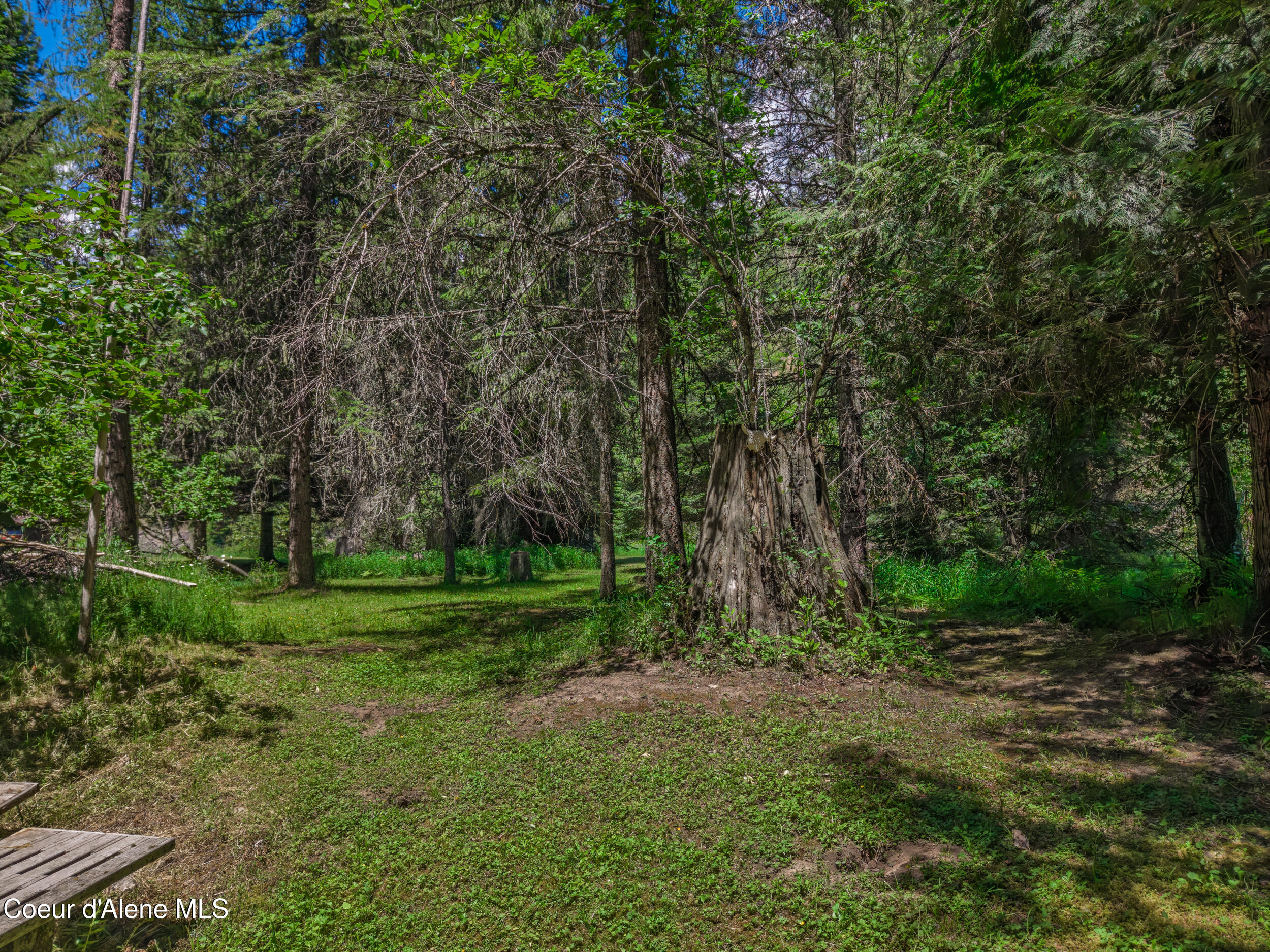 30839 St Joe River Road Calder, ID 83808 - Photo 19 of 33 Lawn