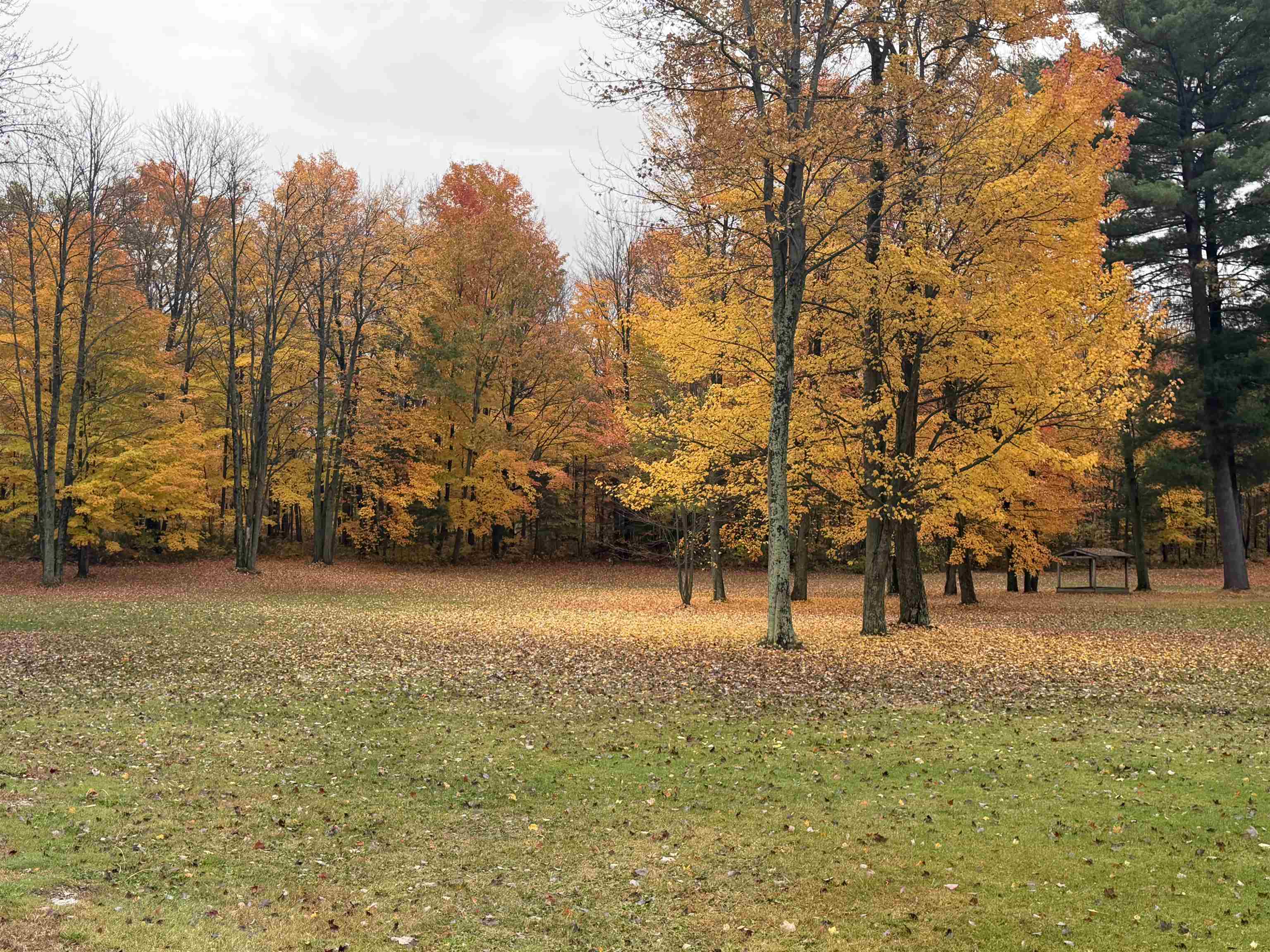 540 Highway 7 Highgate, VT 05488 - Photo 14 of 60