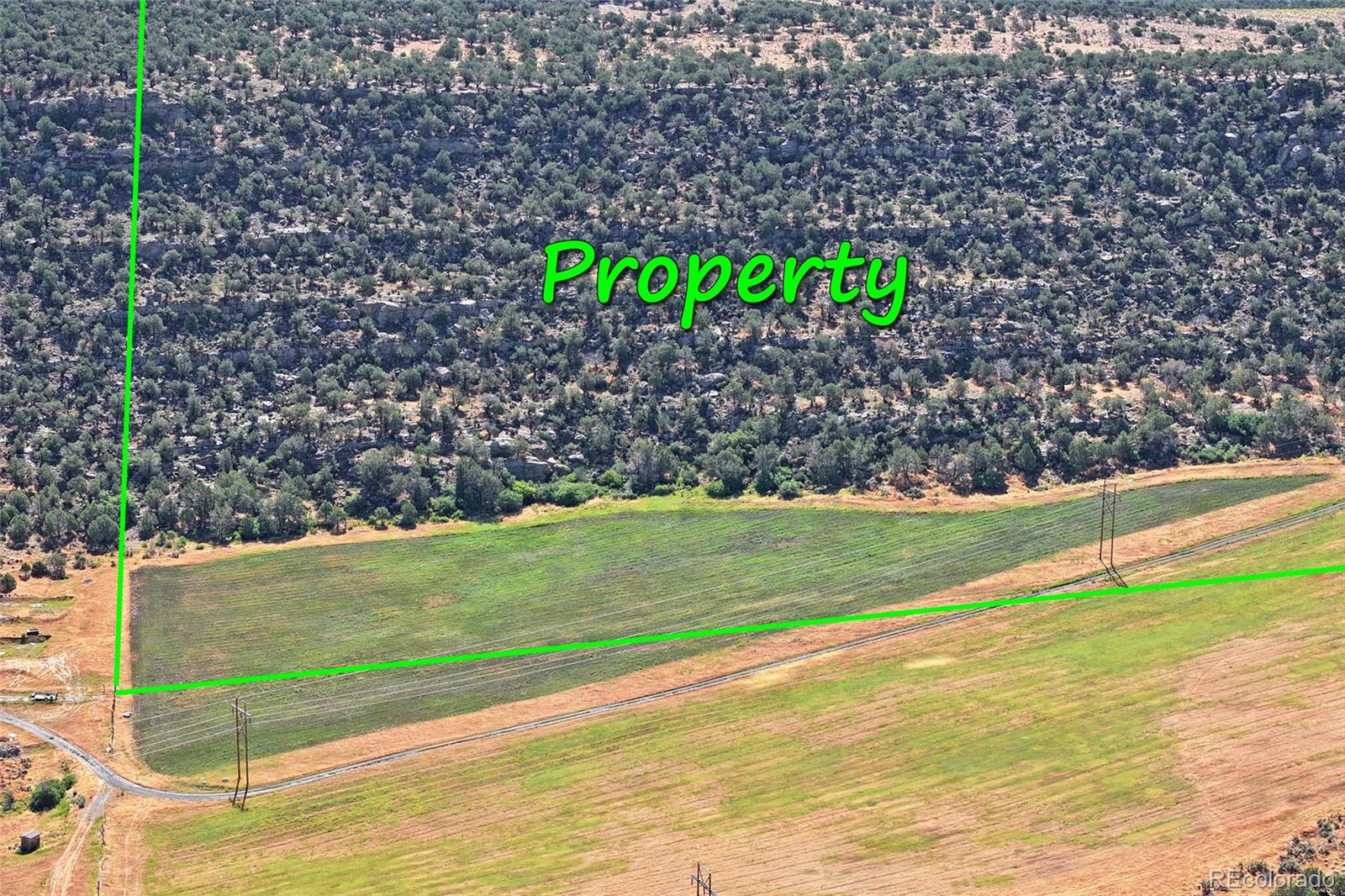 5402 Ke2 Road Collbran, CO 81624 - Photo 16 of 21