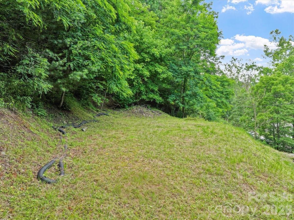 2079 Roses Branch Road Bakersville, NC 28705 - Photo 5 of 20