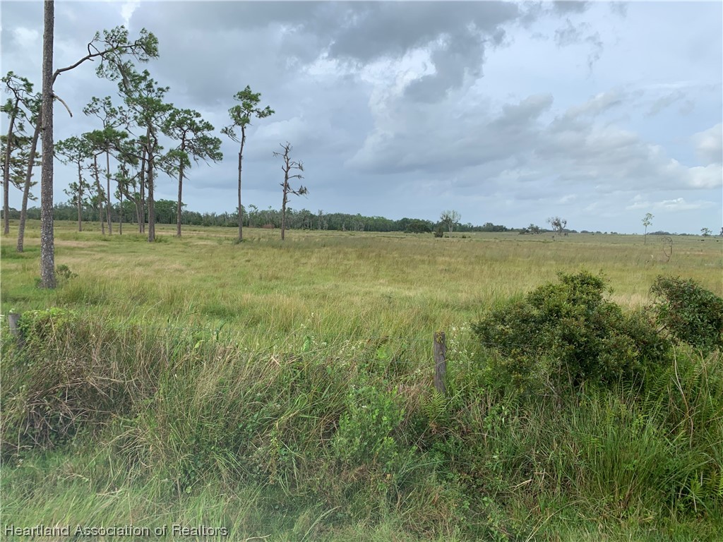 1017 Cattle Road Venus, FL 33960 - Photo 3 of 5 Gallery Image 3