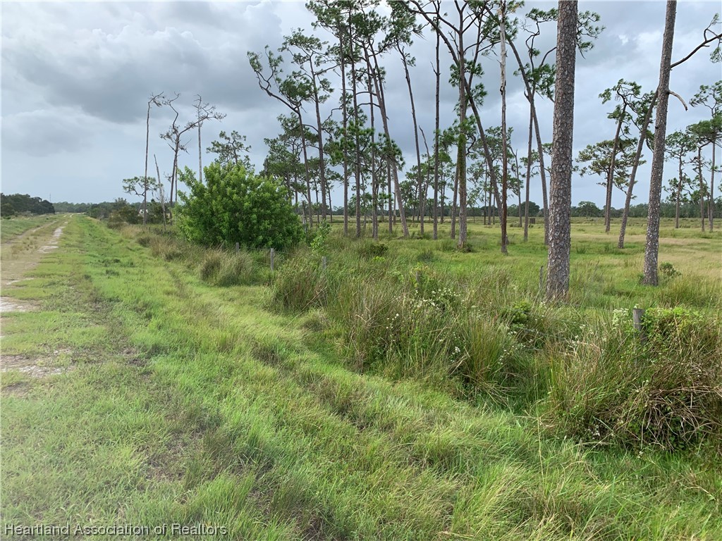 1017 Cattle Road Venus, FL 33960 - Photo 4 of 5 Gallery Image 4