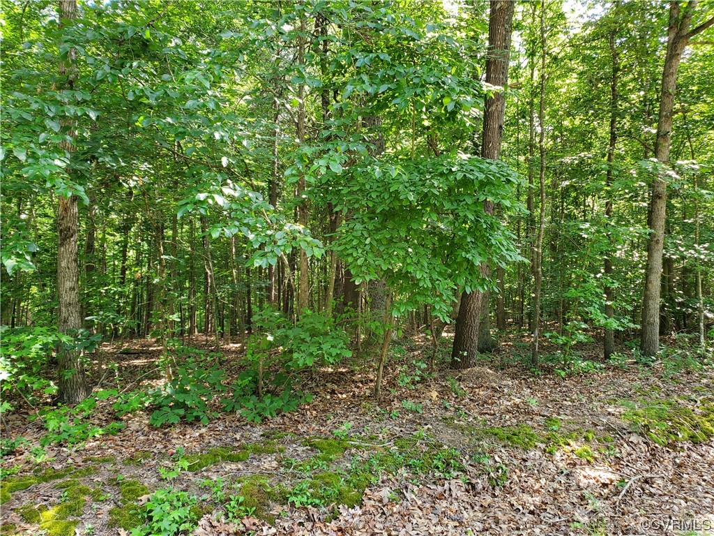 5.002-acres High Point Road Crewe, VA 23930 - Photo 3 of 7 Gallery Image 3