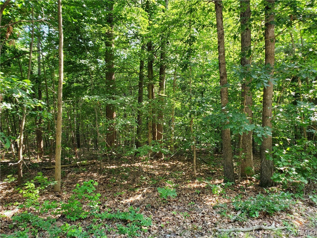 5.002-acres High Point Road Crewe, VA 23930 - Photo 4 of 7 Gallery Image 4