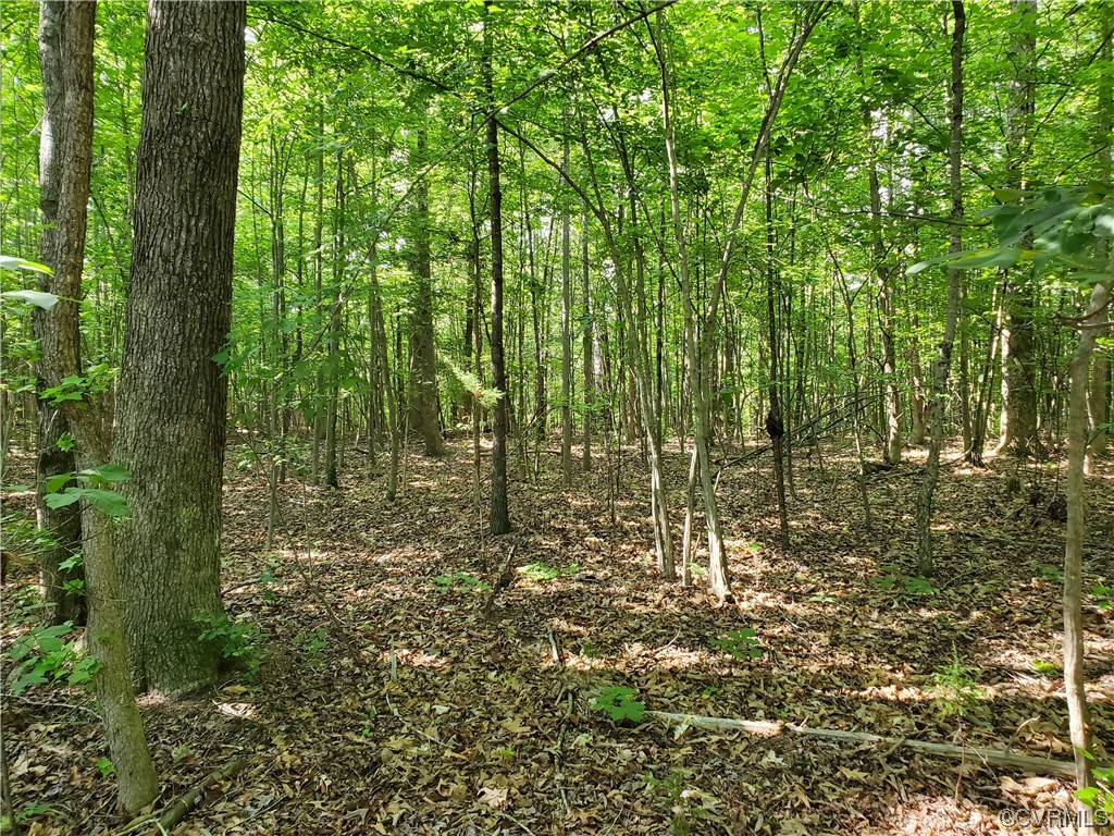 5.002-acres High Point Road Crewe, VA 23930 - Photo 5 of 7 Gallery Image 5