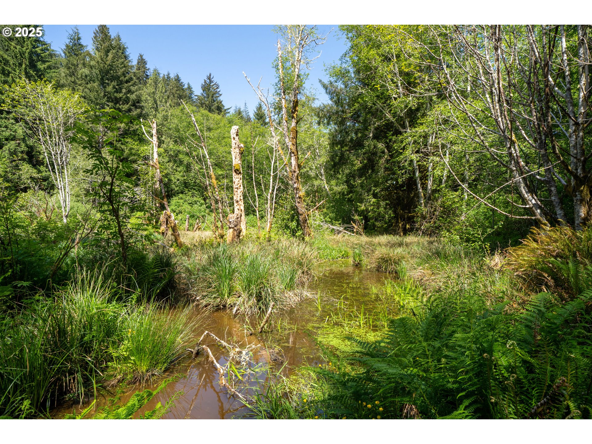 17600 Sandlake Road Cloverdale, OR 97112 - Photo 47 of 48 Gallery Image 47