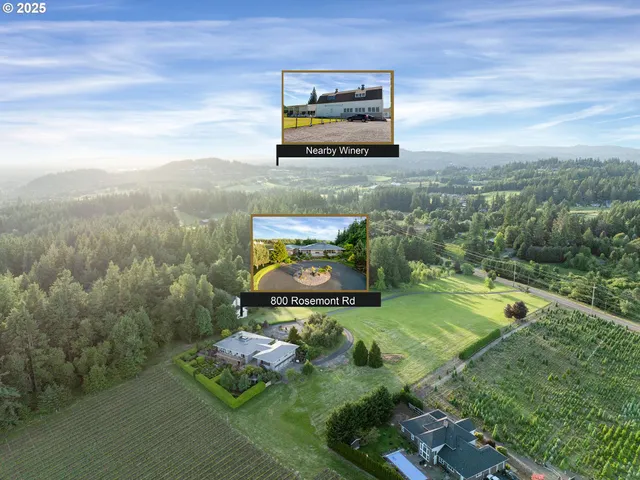 a view of a back yard of the house with a yard