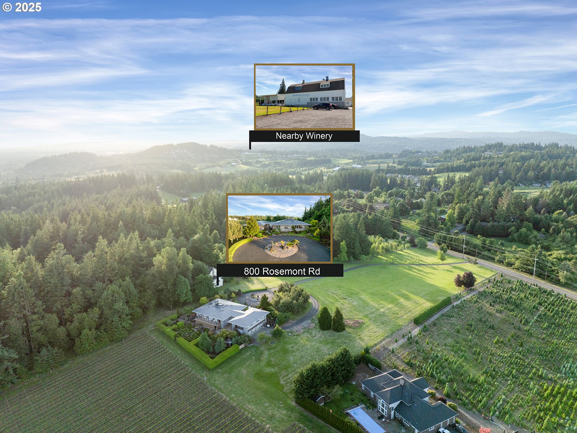 800 Rosemont Road West Linn, OR 97068 - Photo 43 of 48 a view of a back yard of the house with a yard