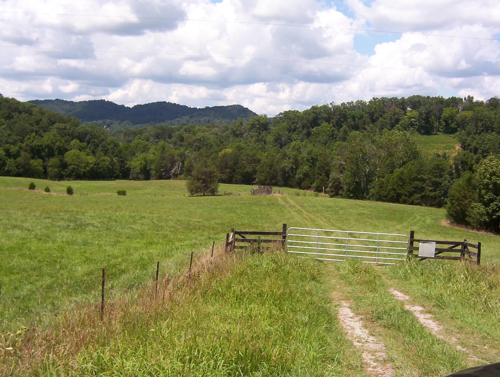 Cline Road Dandridge, TN 37725 - Photo 3 of 5 cline rd land3