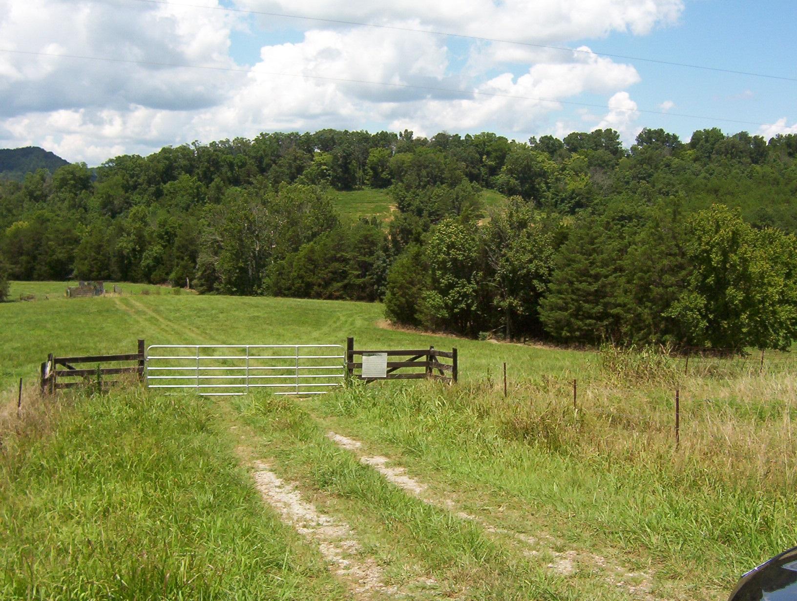 Cline Road Dandridge, TN 37725 - Photo 4 of 5 cline rd land4
