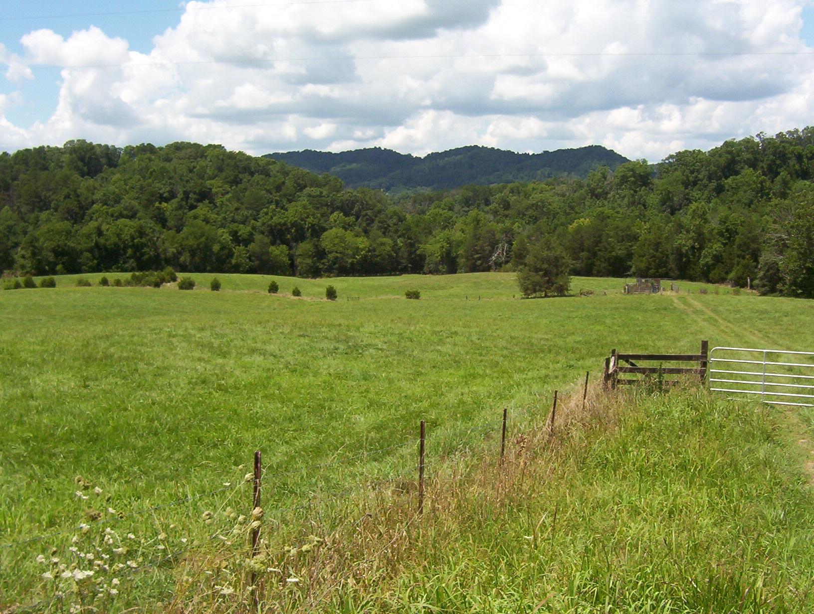 Cline Road Dandridge, TN 37725 - Photo 5 of 5 cline rd land5