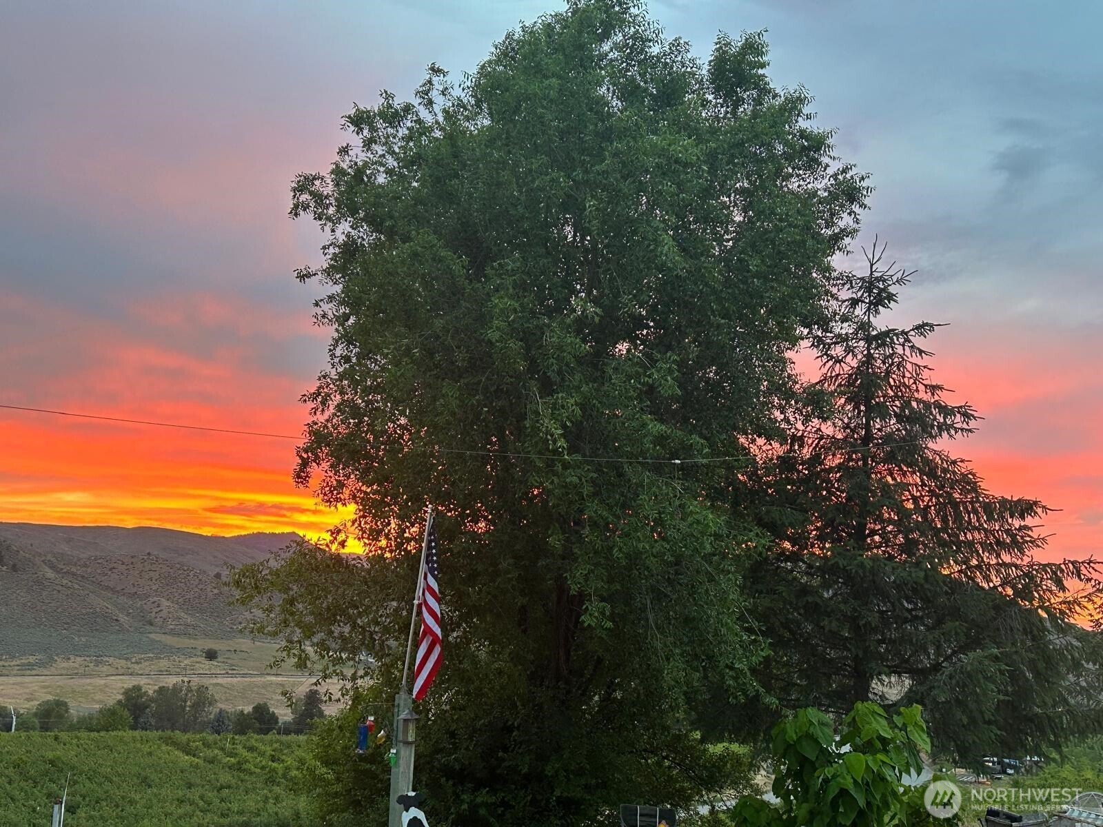 14 Bridgeview Road Tonasket, WA 98855 - Photo 23 of 32 a backyard of a house with lots of green space