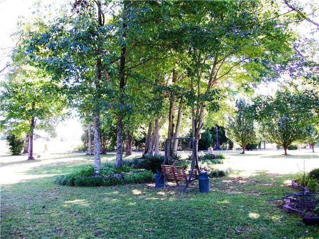 263 Cal Durham Road Bethpage, TN 37022 - Photo 14 of 20 Can't You Just Imagine Sitting In This Spectacular Area Of Front Yard For Those Relaxing Moments !