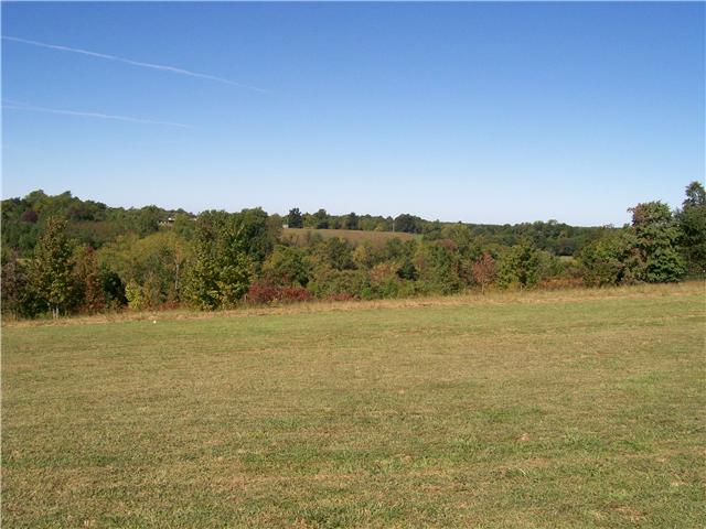 263 Cal Durham Road Bethpage, TN 37022 - Photo 17 of 20 What A View From Back Of Home !