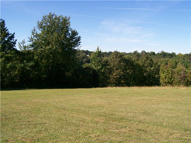 263 Cal Durham Road Bethpage, TN 37022 - Photo 18 of 20 Oh What Nature Hath Provided ! Just Imagine This Beautiul Scene As The Leaves Are Beginning To Turn !. Breathtaking !!!