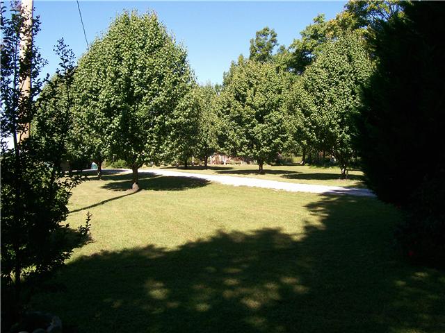 263 Cal Durham Road Bethpage, TN 37022 - Photo 19 of 20 View Of Your Driveway Leading To This Picturesque Home !
