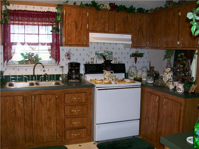 263 Cal Durham Road Bethpage, TN 37022 - Photo 3 of 20 Enjoy Beautiful Scenic View Of Back Of Property While Preparing Meals For Your Familly! This Kitchen Is Enhanced By Beautiful Cabinets.