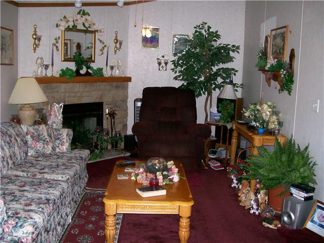 263 Cal Durham Road Bethpage, TN 37022 - Photo 6 of 20 Enjoy Those Cool Nights That Are Coming With Your Own Wood-Burning Fireplace In This Roomy Den !