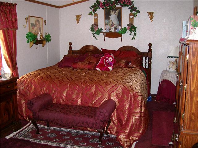 263 Cal Durham Road Bethpage, TN 37022 - Photo 7 of 20 Truly This Is A Master Bedroom !